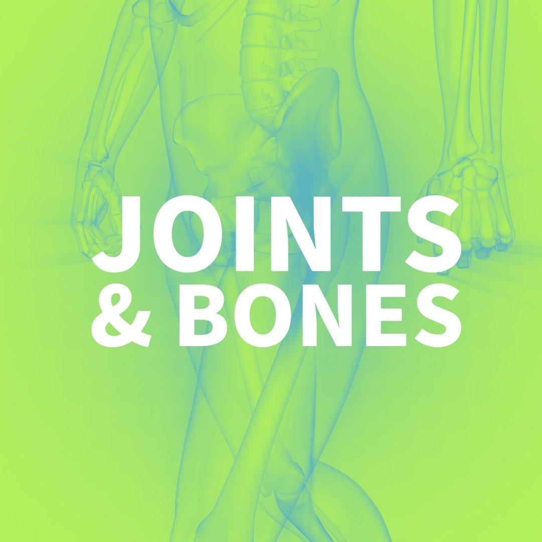 JOINTS & BONES