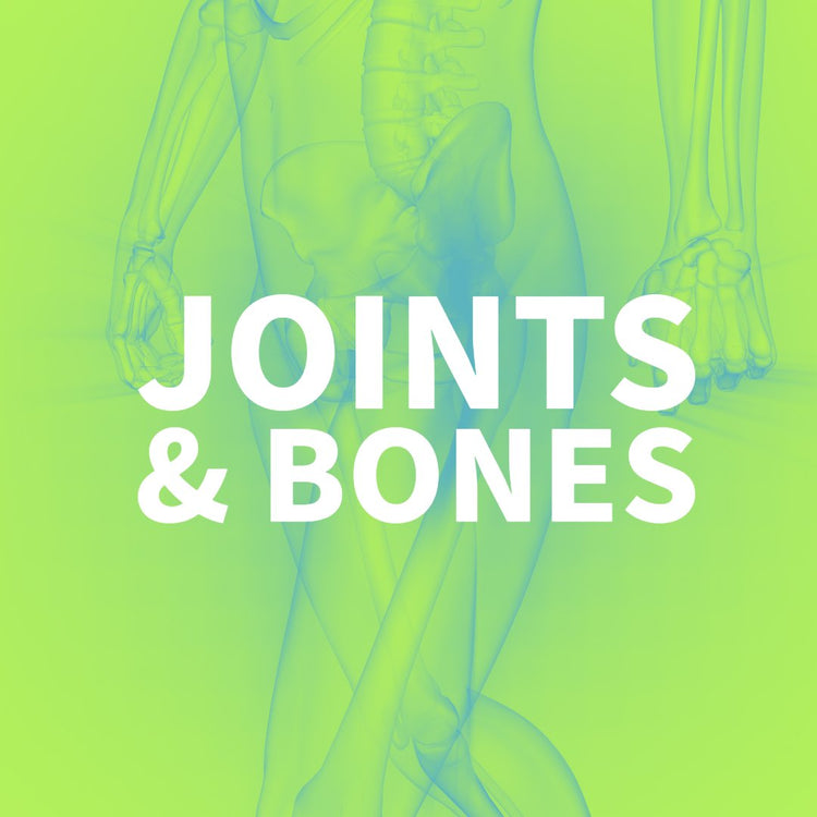 JOINTS & BONES