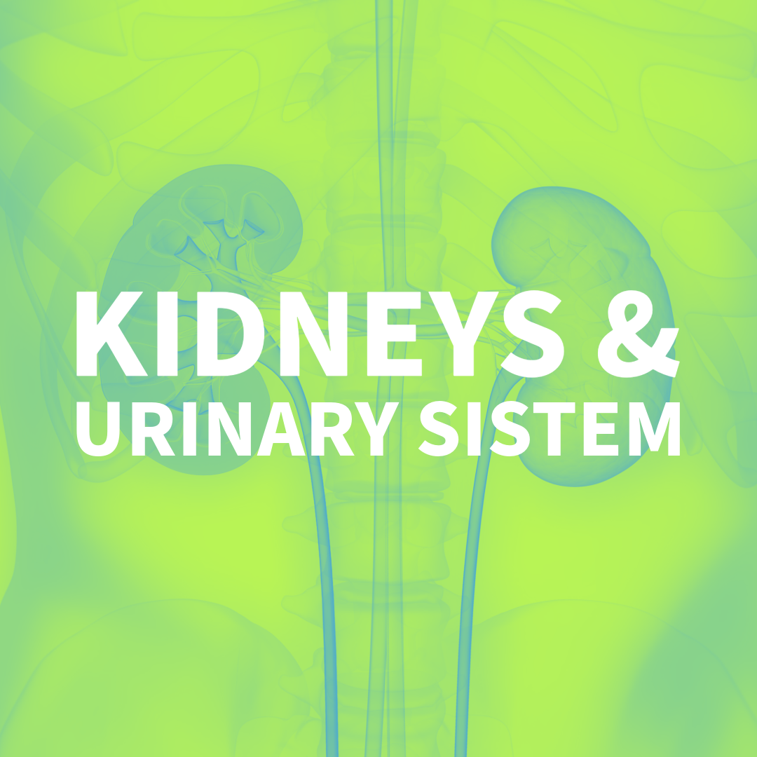 KIDNEYS & URINARY SYSTEM