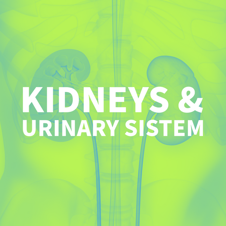 KIDNEYS & URINARY SYSTEM